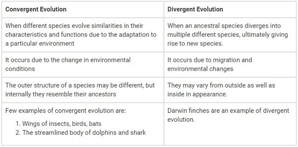 Diferencia entre evoluci贸n convergente y divergente